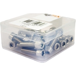 BOUT INBUS M6X25 RVS WP(25) 
