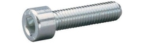DS INBUSBOUT M8X30 RVS (12)