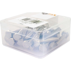 BOUT ZK M6X30 RVS WP(25) 